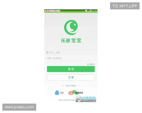乐鱼app下载客户端首页不显示问题的排查与恢复方案推荐