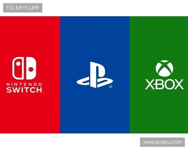 乐鱼体育游戏安全保障措施详解确保玩家账号信息安全